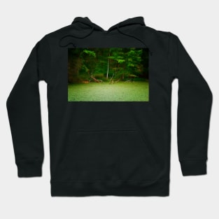 Forest Primeval Hoodie